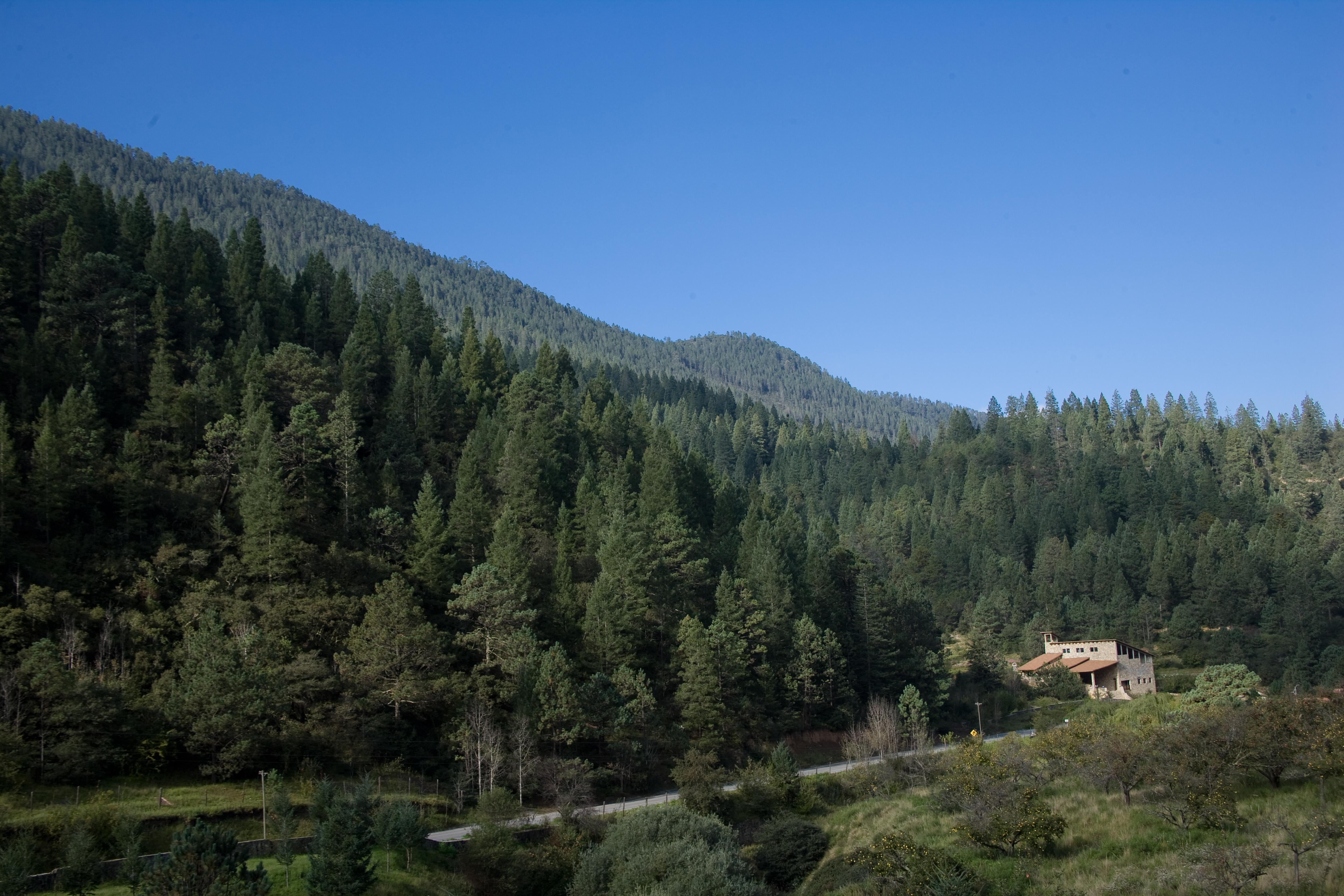 Bosques De Monterreal Hotel San Antonio de las Alazanas Exterior photo