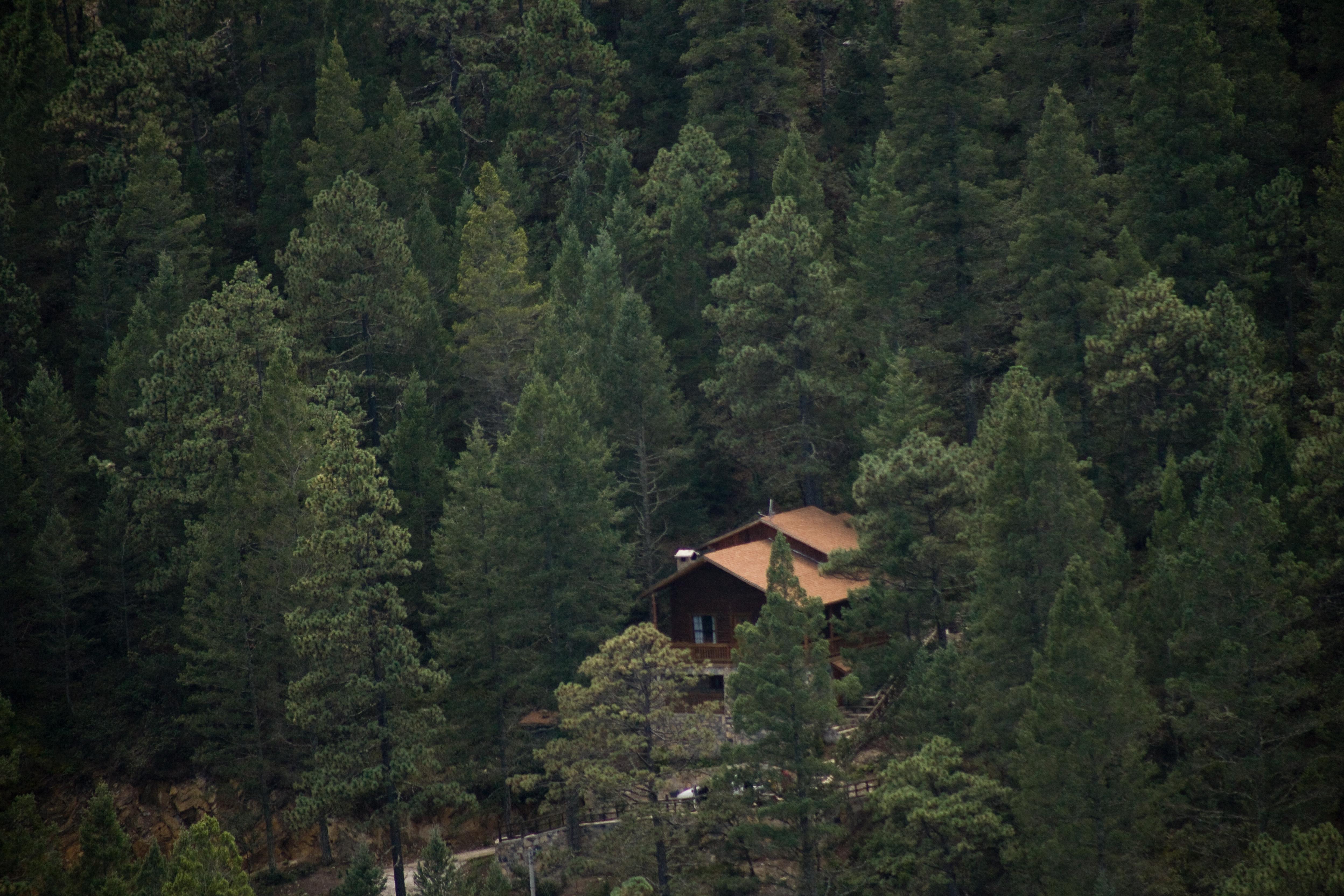 Bosques De Monterreal Hotel San Antonio de las Alazanas Exterior photo